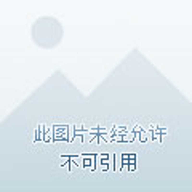 沈阳软件开发：探索本地软件行业的秘密